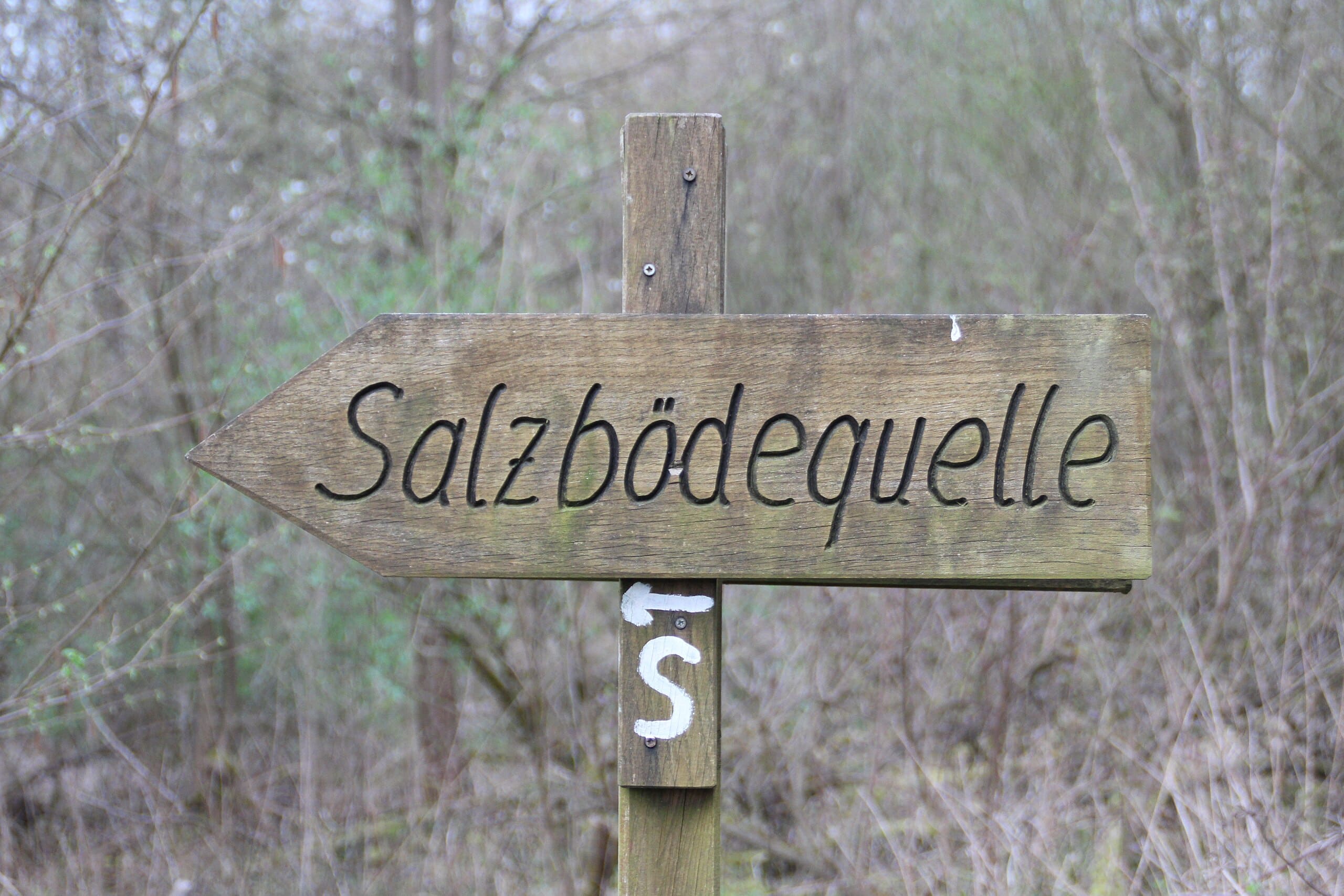 Salzabbau in der Vergangenheit weist auf Bergbauaktivitäten hin
Quelle: Gerold Rosenberg