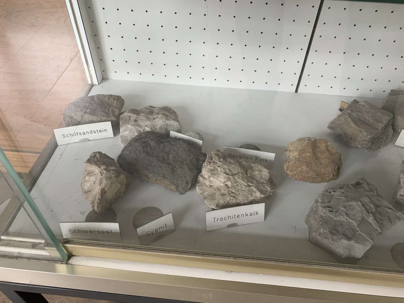 Vitrine mit Gesteinsproben, vorn links eine Schilfsandstein-Probe mit Namensschild, daneben Schwerspat, Syenit, Kalkspat, Korallenkalk und Trochitenkalk
